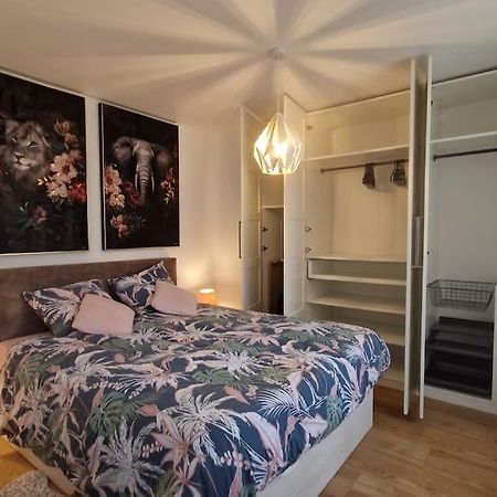 Modern Jungle - Colmar Lägenhet Exteriör bild